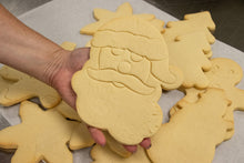 Load image into Gallery viewer, Decorate Cookies With Mrs. Claus At Colasanti Tropical Gardens
